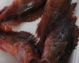 あらかぶ(カサゴ)と玉ねぎのお味噌汁作り方1写真
