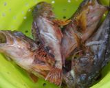あらかぶ(カサゴ)と玉ねぎのお味噌汁作り方2写真
