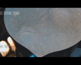 卵×マヨネーズ【ウフマヨネーズ】作り方1写真