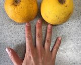 酸っぱくても大丈夫♬晩柑の寒天ゼリー作り方1写真