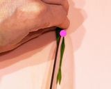 細ねぎで☆青いあしらい 白髪ねぎ風作り方5写真