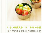 いろいろ使える！ミニトマトの蝶切り作り方17写真