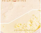 クリームチーズアイス ダイエットに節約に作り方8写真