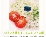 いろいろ使える！ミニトマトの蝶切り作り方26写真