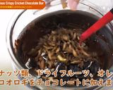 コオロギの栄養たっぷりチョコレートバー作り方3写真