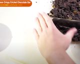 コオロギの栄養たっぷりチョコレートバー作り方6写真