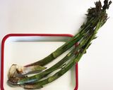 ワインに合う! 山ウドのびっくりパスタ作り方1写真