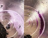 昔ながらの梅干し作り方11写真