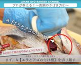 真鯛のさばき方 三枚おろし作り方6写真