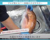真鯛のさばき方 三枚おろし作り方2写真