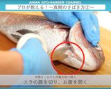 真鯛のさばき方 三枚おろし作り方5写真