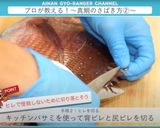 真鯛のさばき方 三枚おろし作り方3写真