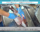 真鯛のさばき方 三枚おろし作り方10写真