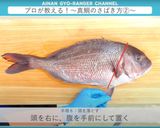 真鯛のさばき方 三枚おろし作り方11写真