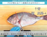 真鯛のさばき方 三枚おろし作り方12写真