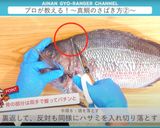 真鯛のさばき方 三枚おろし作り方13写真