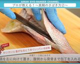 真鯛のさばき方 三枚おろし作り方15写真