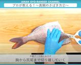 真鯛のさばき方 三枚おろし作り方17写真