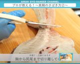 真鯛のさばき方 三枚おろし作り方18写真