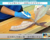 真鯛のさばき方 三枚おろし作り方20写真