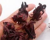 ハマイカ（ハイビスカス）のクッキー作り方1写真