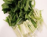 もやしと水菜のシャキシャキ簡単サラダ作り方2写真