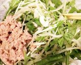 もやしと水菜のシャキシャキ簡単サラダ作り方3写真