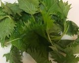 しその保存作り方1写真