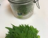 しその保存作り方5写真