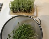 ちょー簡単！豆苗もやしナムル作り方2写真