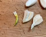 Twitter話題和風ネギのアヒージョ作り方6写真