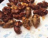 中国山東省伝統料理「セミ蝉の素揚げ」作り方4写真