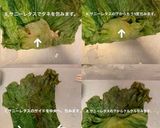 簡単 ロールキャベツ風　サニーレタス使用作り方7写真