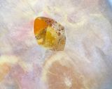 オレンジのコンポート作り方6写真