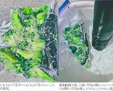 ベストなバッグ密封の仕方 比較実験作り方22写真