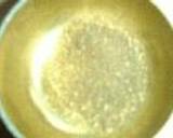 本格的！パルメザンチーズのリゾット　Risotto al parmigiano(リゾット･アル･パルミジャーノ)作り方4写真