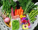 簡単‼そら豆（ファーベ）とエビの茶碗蒸し作り方6写真