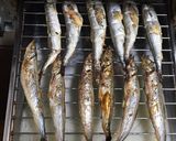 つまみ♡冷めてもふっくら旨い焼きししゃも作り方4写真