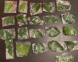 ペーストから手作りグリーンカレー作り方2写真