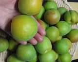 凍らせて作る～梅味噌作り方1写真