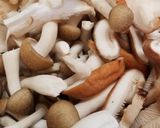 お二人さんの☆キノコの照り焼き！作り方1写真