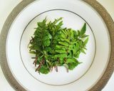 粉山椒♪いい香り 山椒の葉の保存法♪作り方1写真