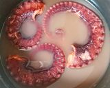 タコのトマト煮込み☆ジョジョコラボ飯作り方3写真