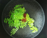 山椒の葉の保存法　♪冷凍♪作り方1写真