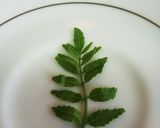 粉山椒♪いい香り 山椒の葉の保存法♪作り方7写真
