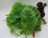 サラダMIXで生春巻作り方1写真