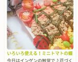 いろいろ使える！ミニトマトの蝶切り作り方35写真