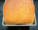 発酵種&冷蔵発酵 山型食パン作り方20写真