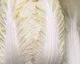 白菜の保存方法作り方2写真