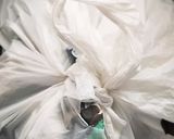 白菜の保存方法作り方4写真